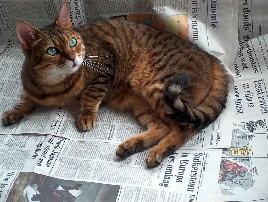 Flop en Spook  _03-12-10_04.JPG